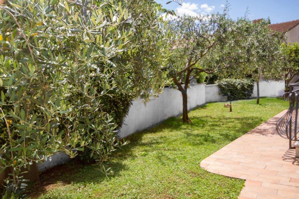 Villa Sveta Eufemija Bed End Breakfast I Ровінь Екстер'єр фото
